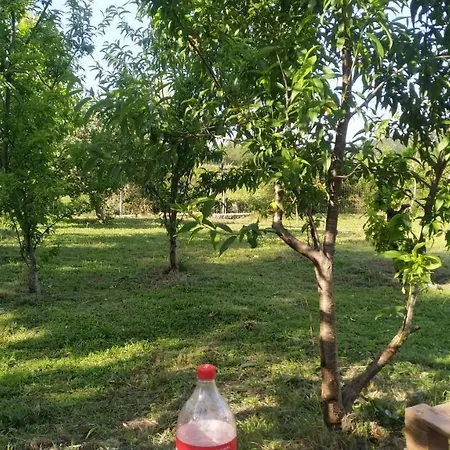 Casa De Amel